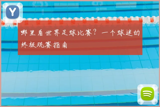哪里看世界足球比赛？一个球迷的终极观赛指南